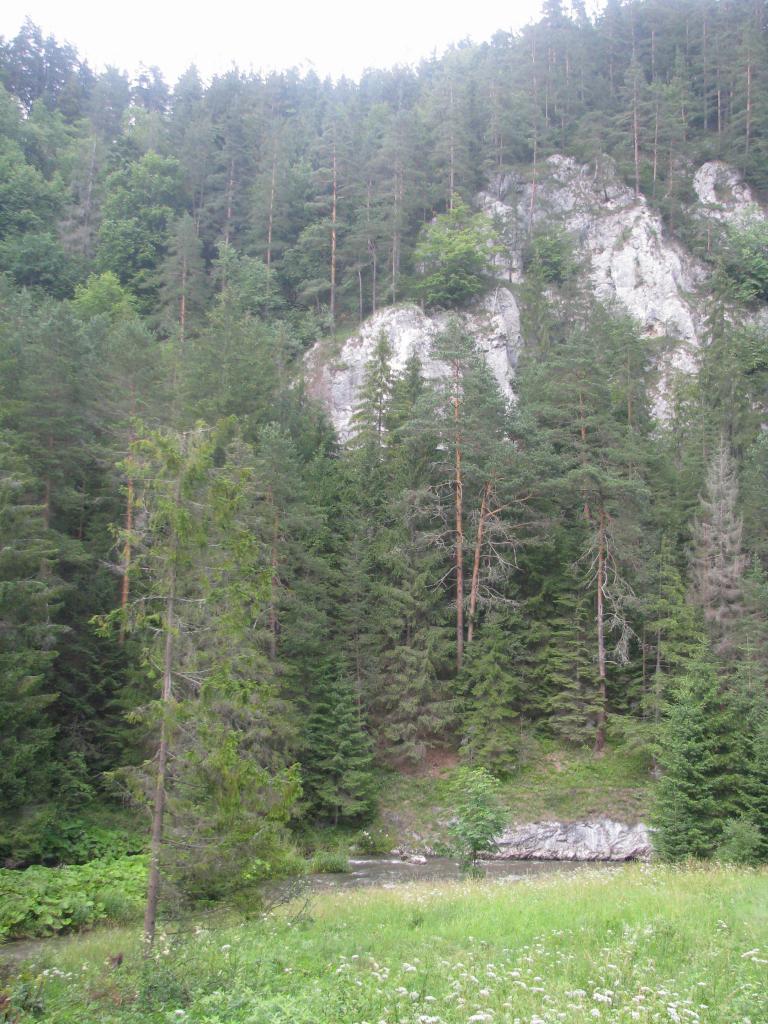 Tájkép 01